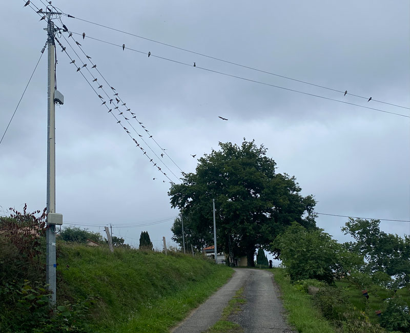 Vous ne vous souvenez pas de vos rêves ?